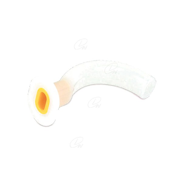 175081